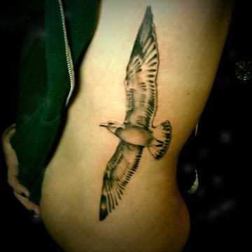 Tatuagem no lado da menina - gaivota