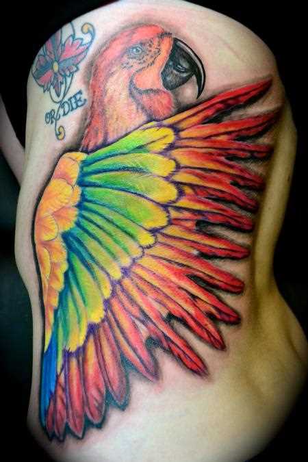 Tatuagem no lado da menina - papagaio