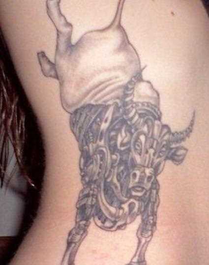 Tatuagem no lado da menina - touro