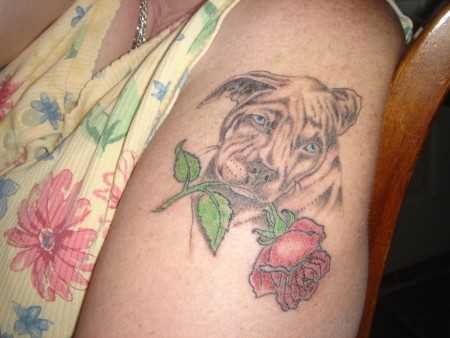 Tatuagem no ombro da menina - cão com uma rosa entre os dentes