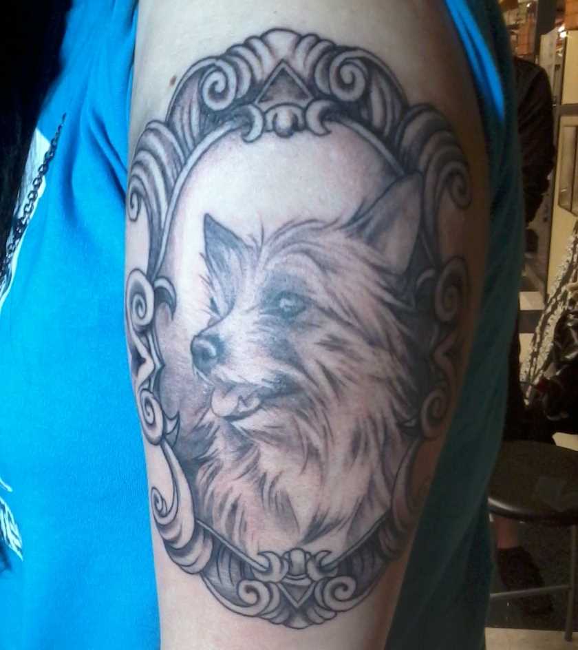 Tatuagem no ombro da menina - cão no quadro