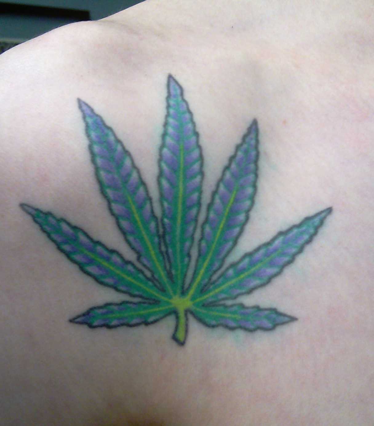 Tatuagem no ombro da menina - folha de marikhuanny