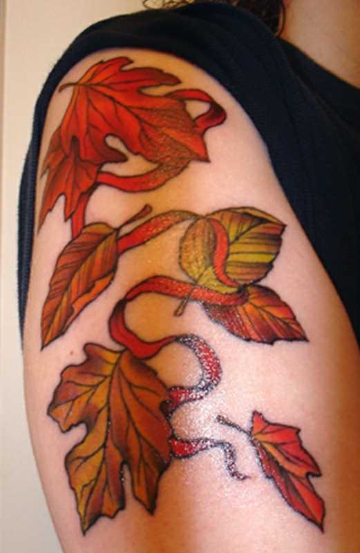 Tatuagem no ombro da menina - folhas de outono