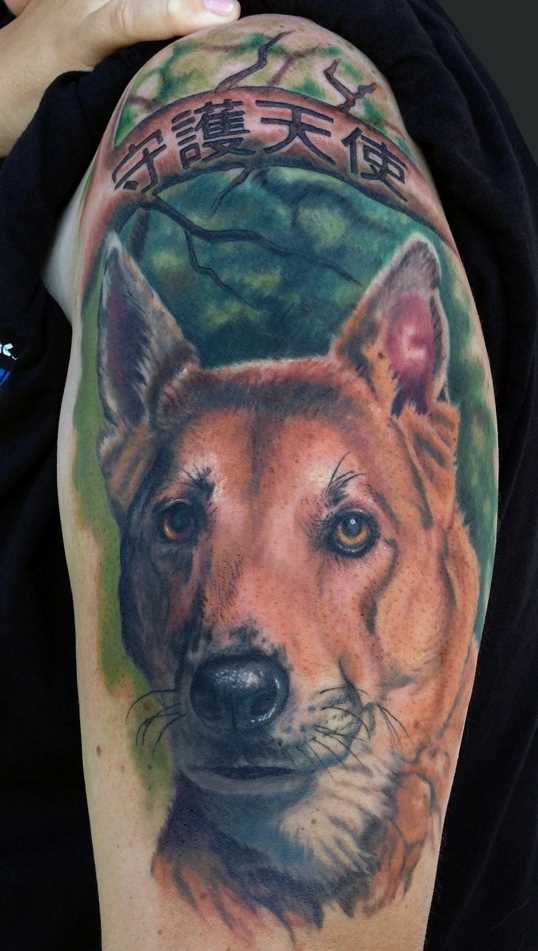 Tatuagem no ombro da menina - o cão e os hieróglifos