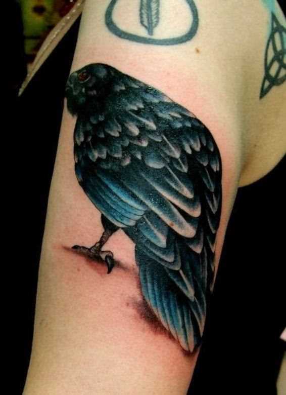 Tatuagem no ombro da menina - o corvo