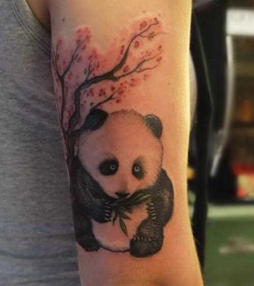 Tatuagem no ombro da menina - panda, e sakura