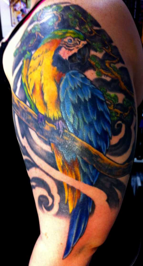 Tatuagem no ombro da menina - papagaio