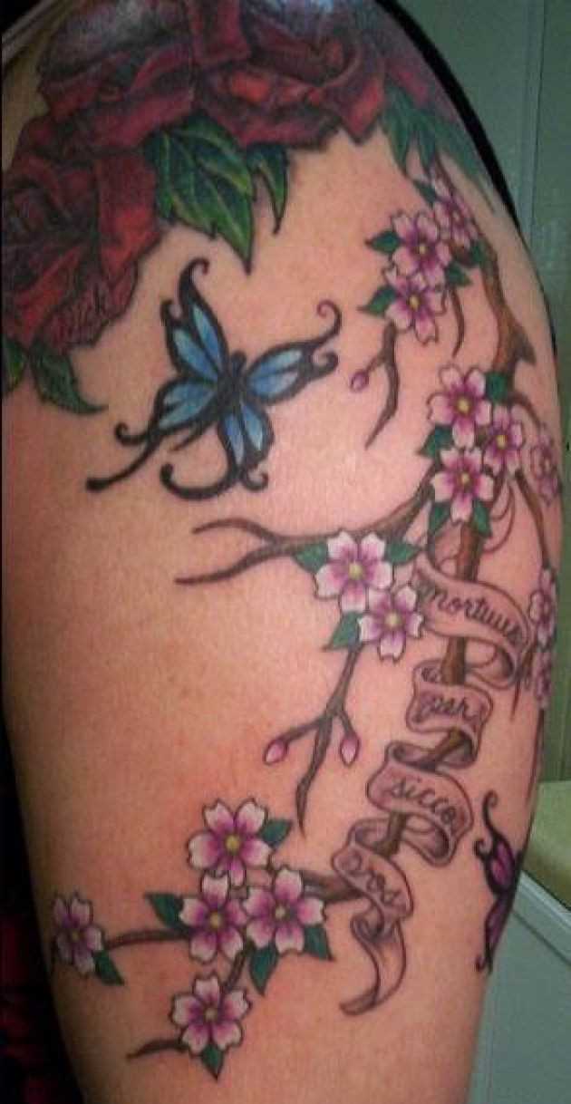 Tatuagem no ombro da menina - sakura e uma borboleta