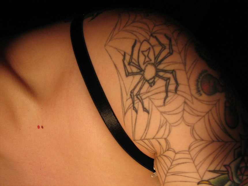 Tatuagem no ombro da menina - uma teia de aranha e a aranha