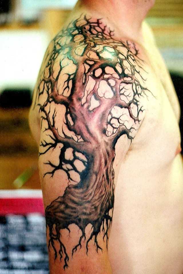 Tatuagem no ombro de um cara - a árvore