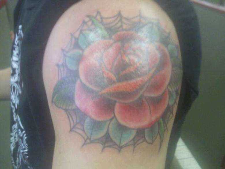 Tatuagem no ombro de um cara - a web e rosa