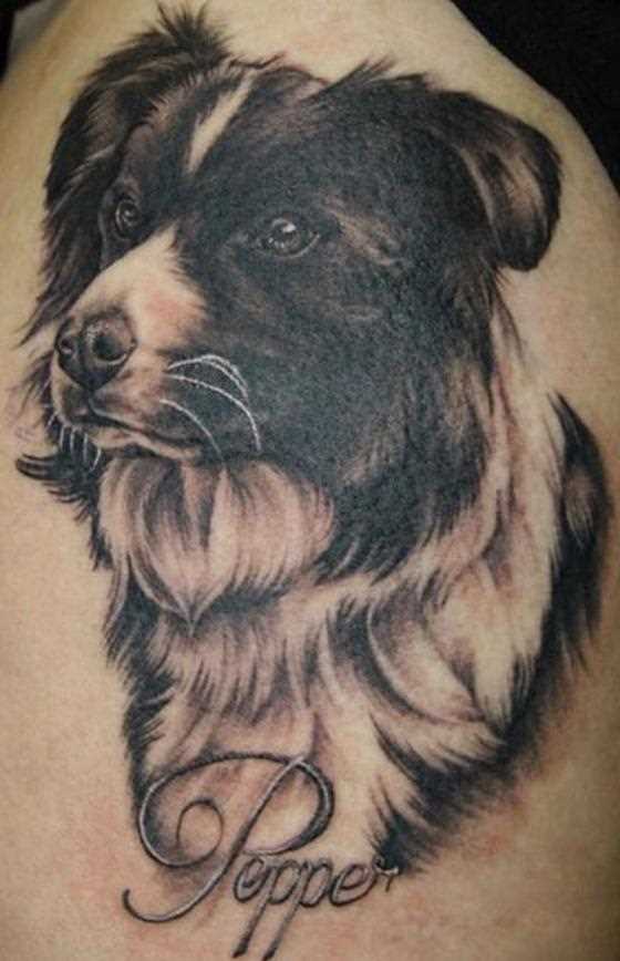 Tatuagem no ombro de um cara - cabeça do cão e a inscrição do nome