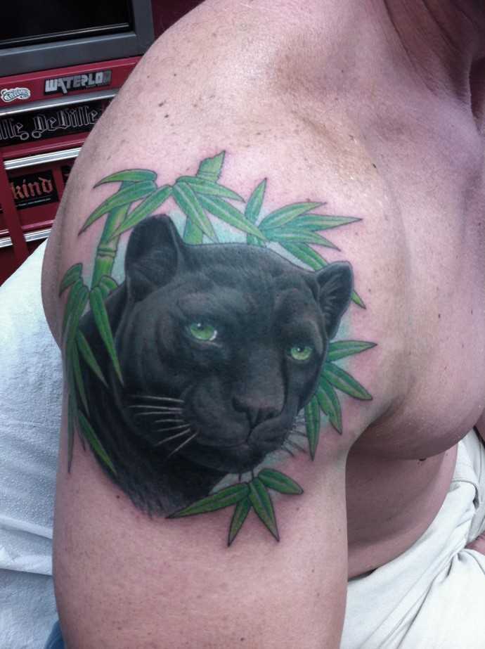 Tatuagem no ombro de um cara com a imagem de panteras e bambu