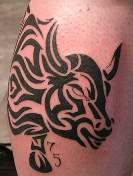 Tatuagem no ombro de um cara com a imagem do touro do padrão