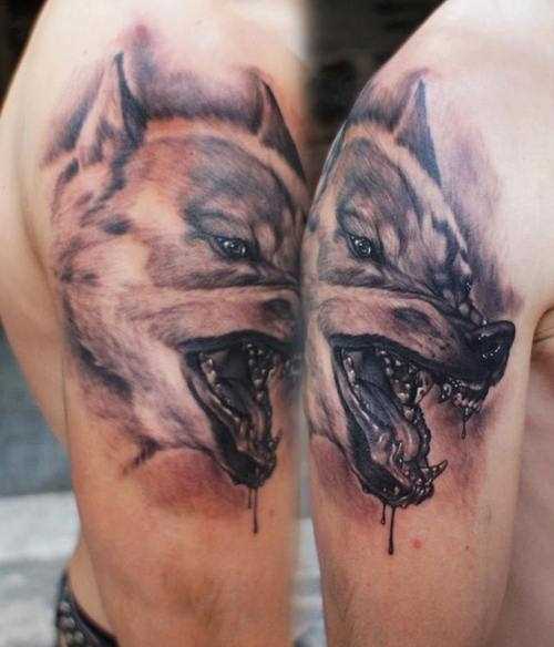 Tatuagem no ombro de um cara como cães com raiva