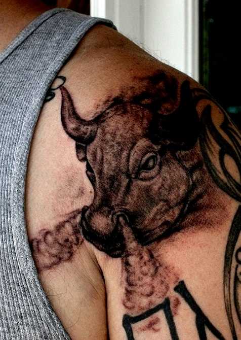 Tatuagem no ombro de um cara como desprezado touro