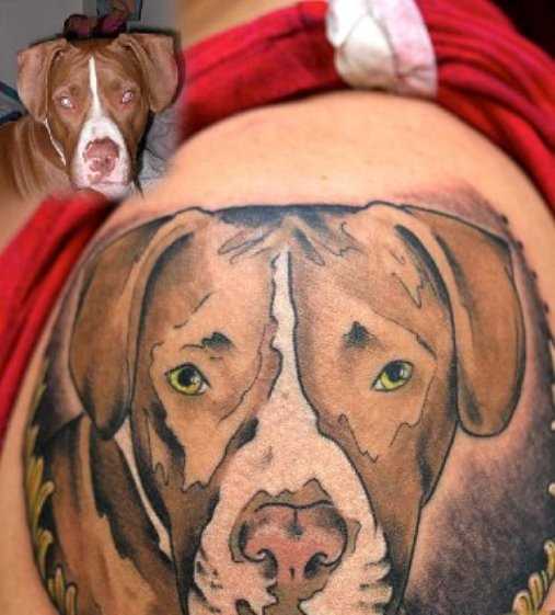 Tatuagem no ombro de um cara como o cão e foto do cão
