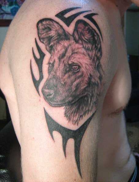 Tatuagem no ombro de um cara como o cão e o padrão de