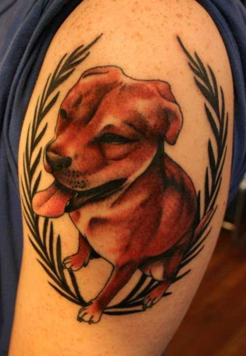 Tatuagem no ombro de um cara - de- cão