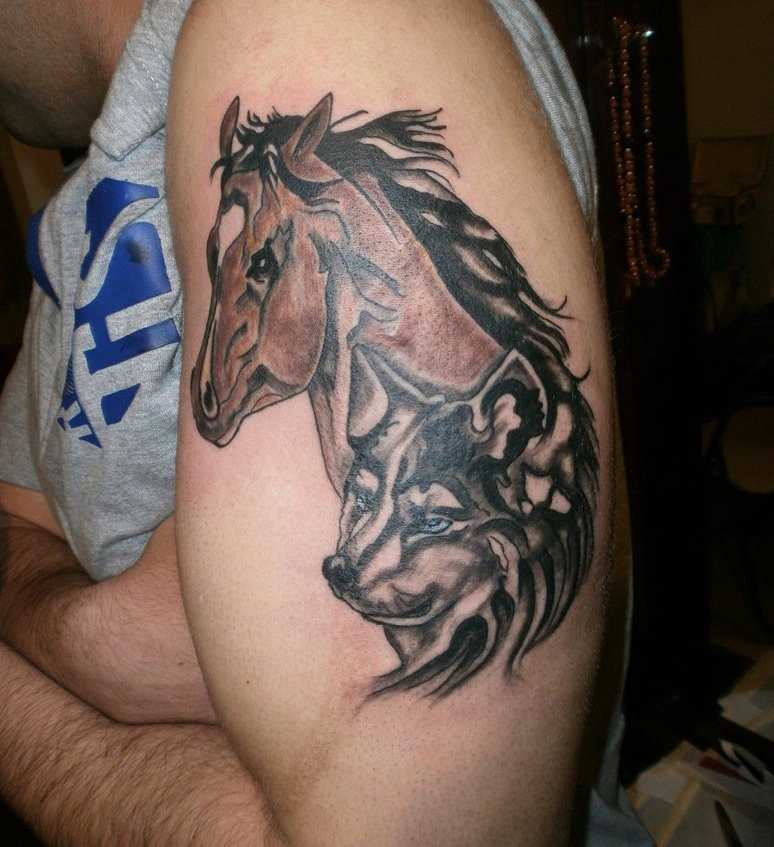 Tatuagem no ombro de um cara - de- cavalo e o lobo