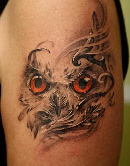 Tatuagem no ombro de um cara - de- coruja