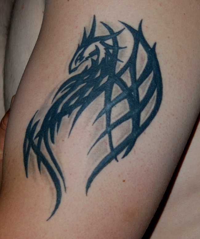 Tatuagem no ombro de um cara de dragão, a partir de um padrão
