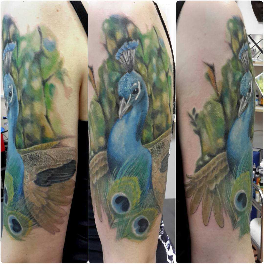 Tatuagem no ombro de um cara - de- pavão