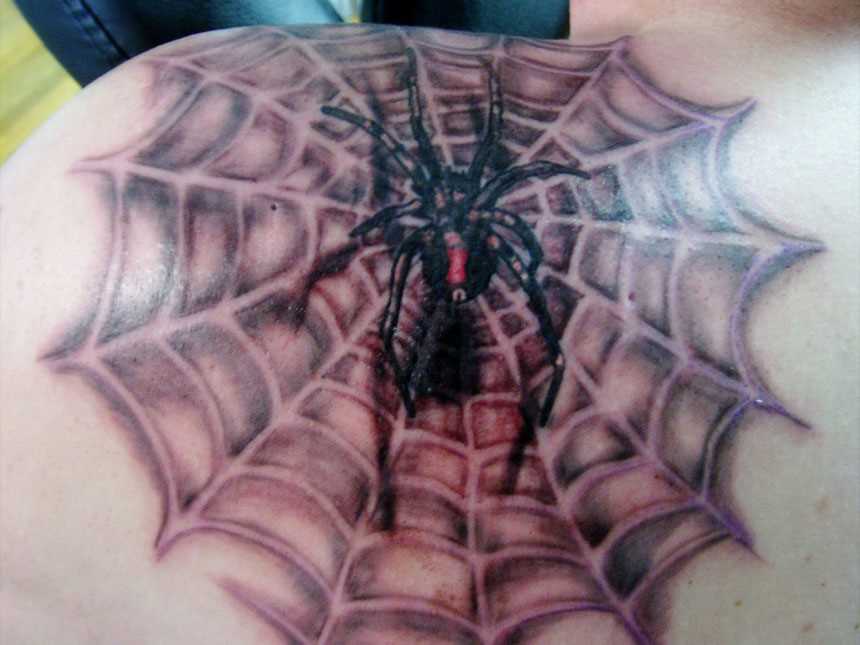 Tatuagem no ombro de um cara - de- teia de aranha e a aranha