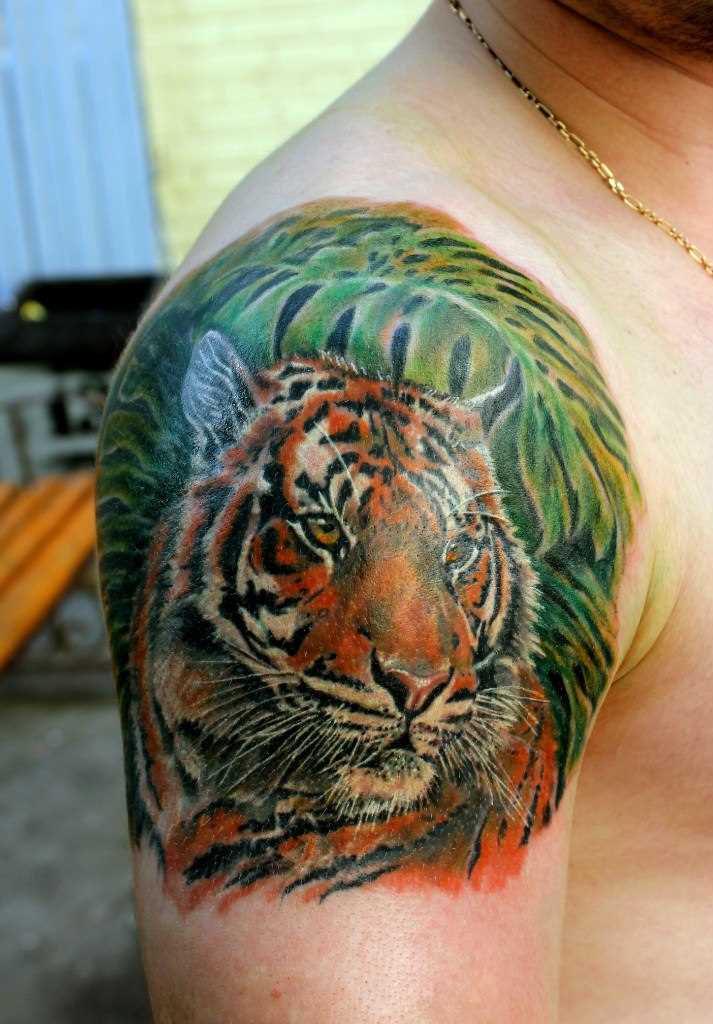 Tatuagem no ombro de um cara - de- tigre