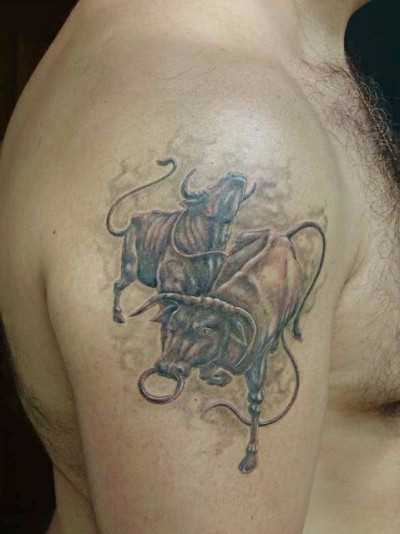 Tatuagem no ombro de um cara - de touros