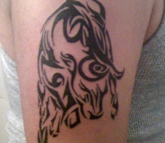 Tatuagem no ombro de um cara do touro - na forma de um padrão