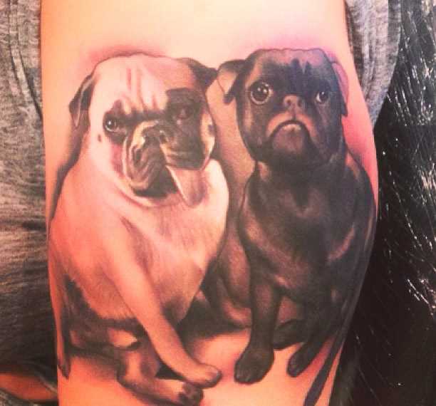 Tatuagem no ombro de um cara em forma de cães
