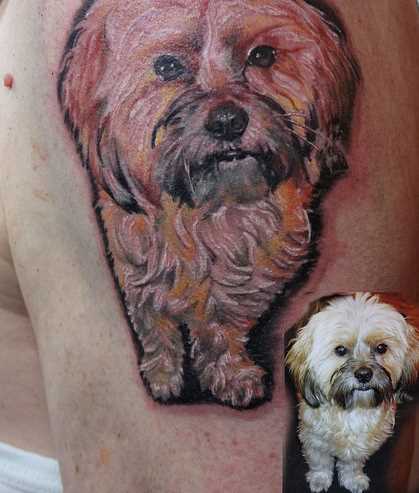 Tatuagem no ombro de um cara em forma de cão e foto do cão