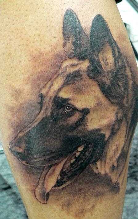 Tatuagem no ombro de um cara em forma de cão-pastor