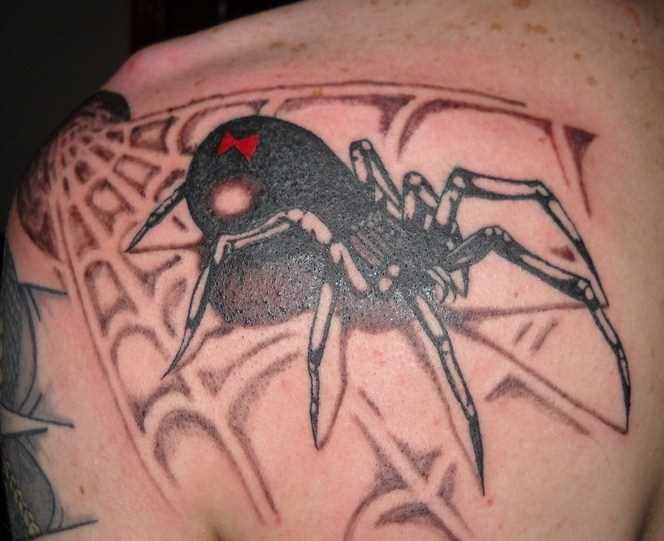 Tatuagem no ombro de um cara em uma teia de aranha e