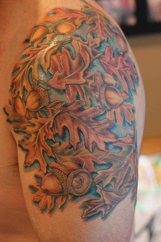 Tatuagem no ombro de um cara - folhas e bolotas