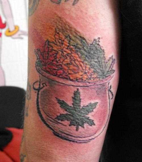 Tatuagem no ombro de um cara - folhas marikhuanny