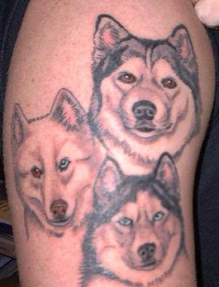Tatuagem no ombro de um cara, na forma de três cães