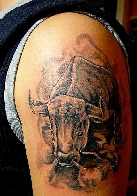 Tatuagem no ombro de um cara - um touro