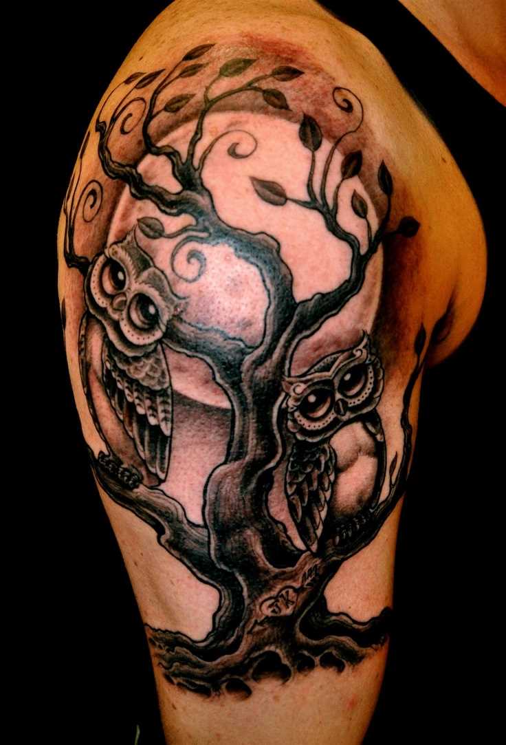 Tatuagem no ombro o homem - árvore e corujas