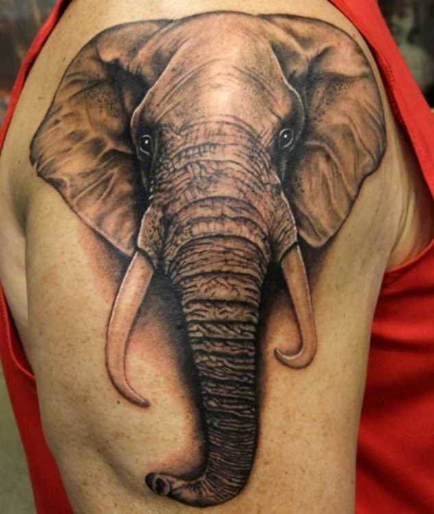Tatuagem no ombro o homem - elefante