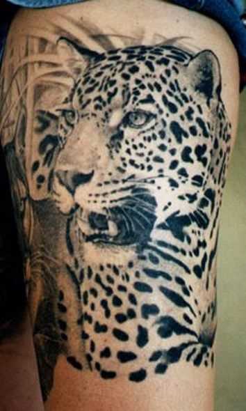 Tatuagem no ombro o homem - leopardo