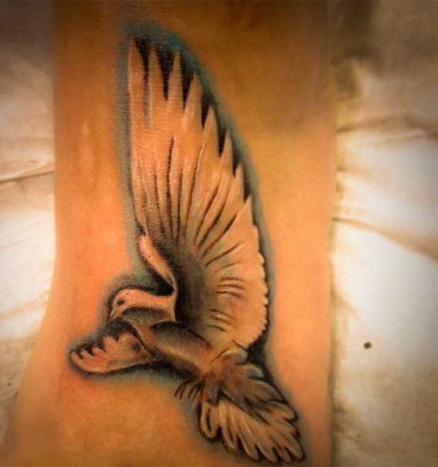 Tatuagem no pé da menina - pombo