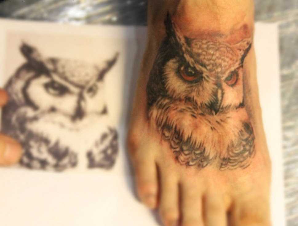Tatuagem no pé do cara - de- coruja