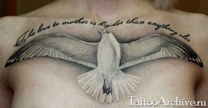 Tatuagem no peito da menina - gaivota e inscrição