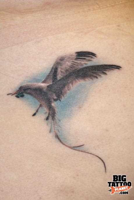 Tatuagem no peito da menina - gaivota