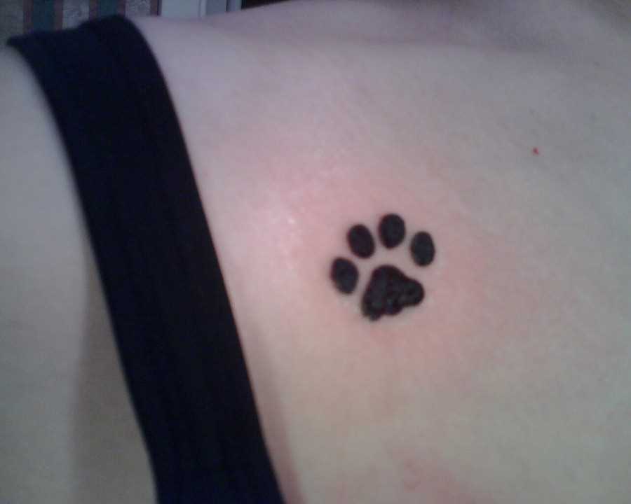 Tatuagem no peito da menina - pata de gato