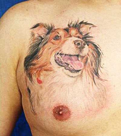 Tatuagem no peito de um cara - a cabeça de um cão
