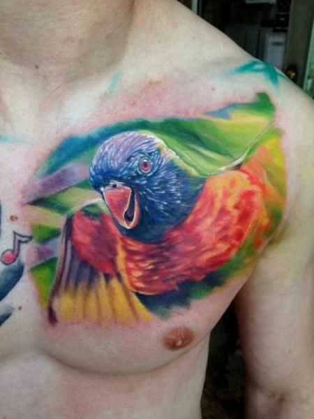 Tatuagem no peito de um cara - a cabeça de um papagaio