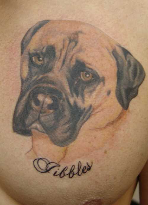 Tatuagem no peito de um cara - de- cão e inscrição